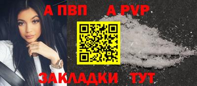 СК Тула