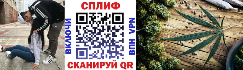 кракен маркетплейс Североуральск Марихуана SATIVA & INDICA